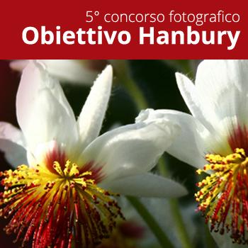 Obiettivo Hanbury 2013 - concorso fotografico