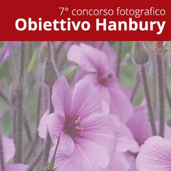 Obiettivo Hanbury 2015 - concorso fotografico