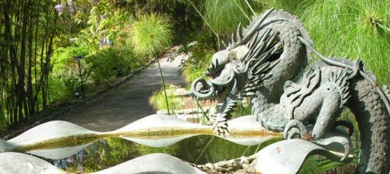 Fontana del Drago