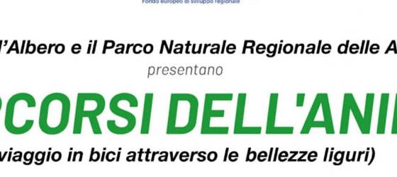 I percorsi dell'anima