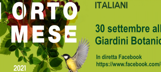 Un orto al mese - GBH