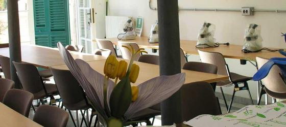 Laboratorio Didattico - Giardini Botanici Hanbury
